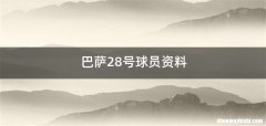 巴萨28号球员资料