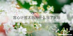 宫心计郑太后为什么当了太后
