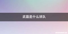 武磊是什么球队