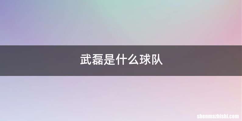 武磊是什么球队