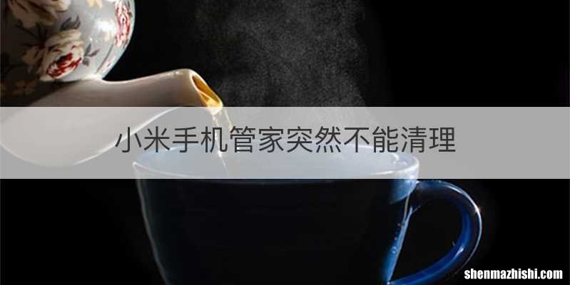 小米手机管家突然不能清理