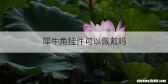 犀牛角挂件可以佩戴吗