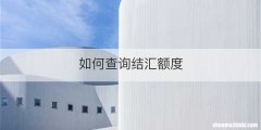 如何查询结汇额度
