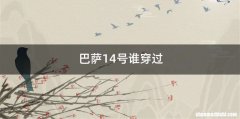 巴萨14号谁穿过