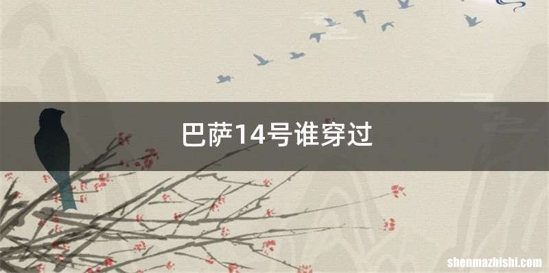 巴萨14号谁穿过