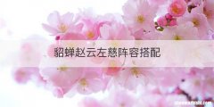貂蝉赵云左慈阵容搭配