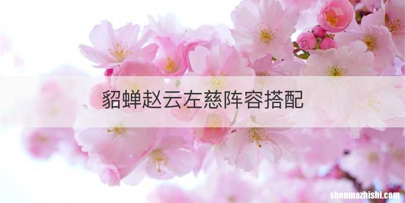 貂蝉赵云左慈阵容搭配