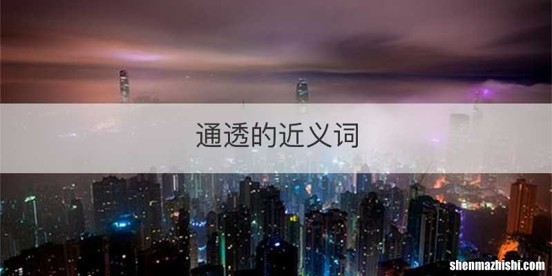 通透的近义词