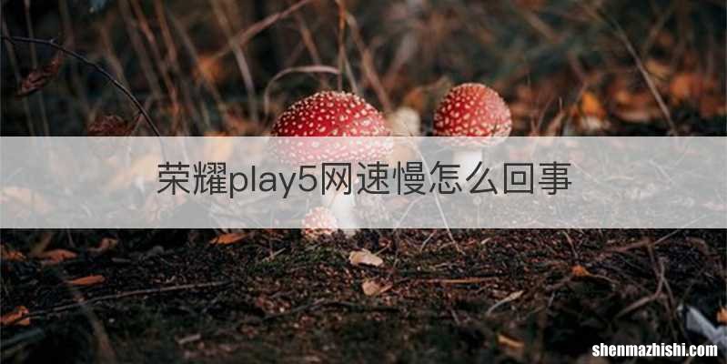 荣耀play5网速慢怎么回事