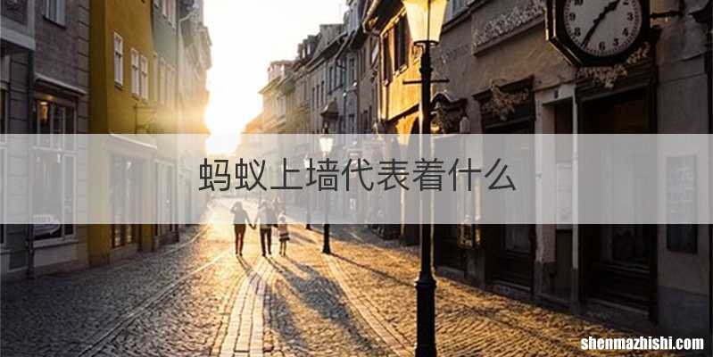蚂蚁上墙代表着什么