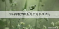 专科学校的填报是按专科成绩吗