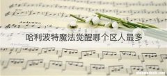 哈利波特魔法觉醒哪个区人最多