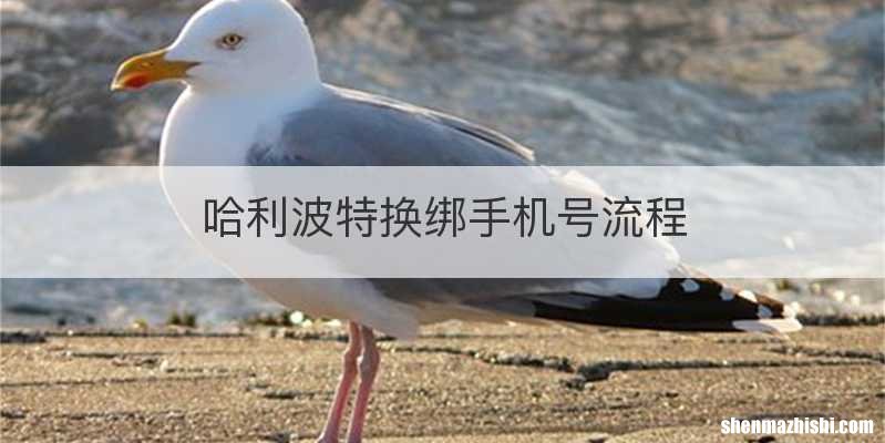哈利波特换绑手机号流程