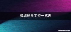 曼城球员工资一览表