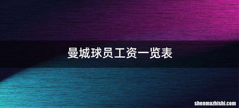 曼城球员工资一览表