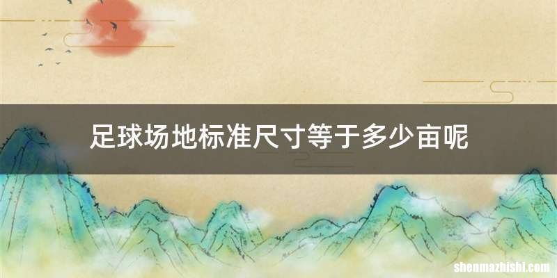 足球场地标准尺寸等于多少亩呢