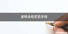波特谈绍切克手球