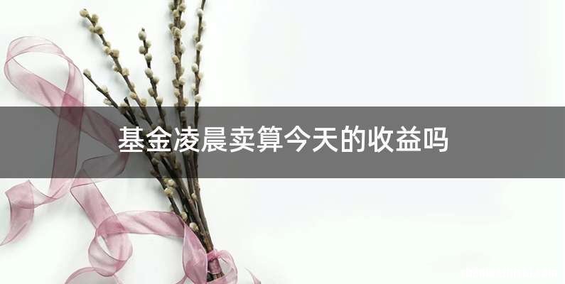 基金凌晨卖算今天的收益吗