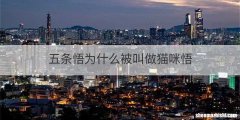 五条悟为什么被叫做猫咪悟