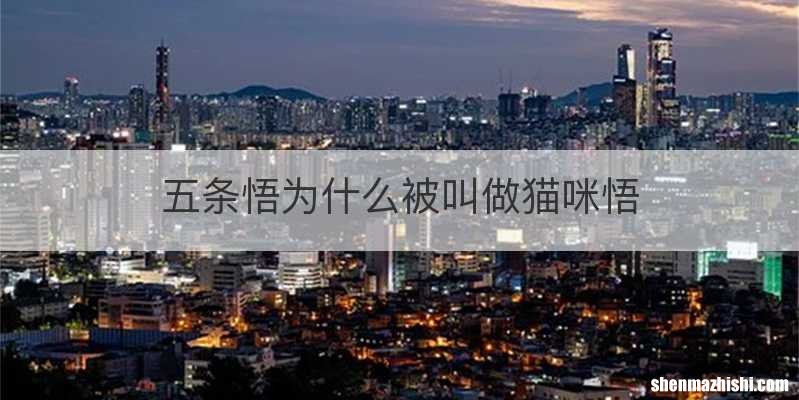五条悟为什么被叫做猫咪悟
