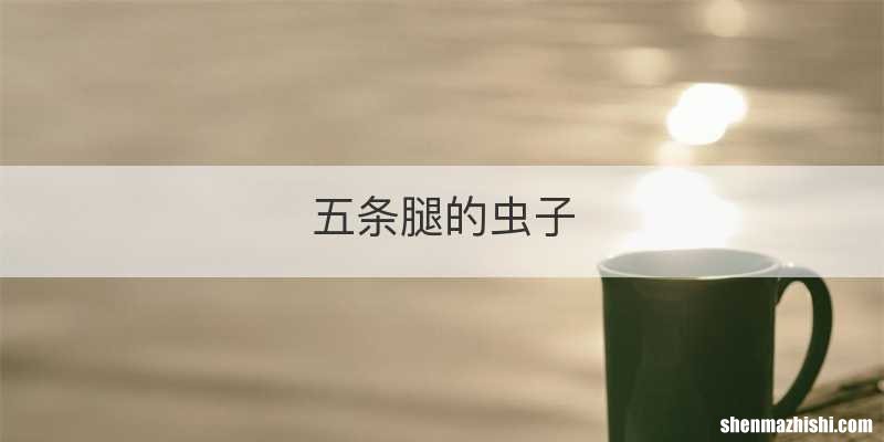五条腿的虫子