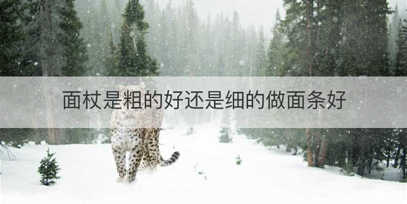 面杖是粗的好还是细的做面条好