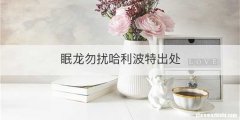眠龙勿扰哈利波特出处