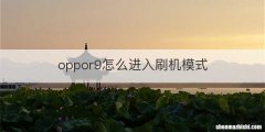 oppor9怎么进入刷机模式
