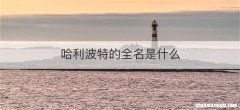 哈利波特的全名是什么