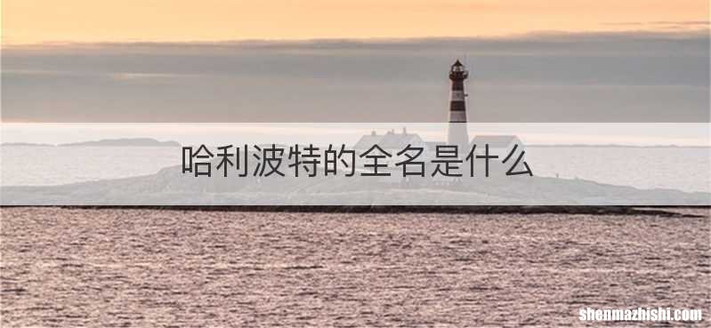 哈利波特的全名是什么