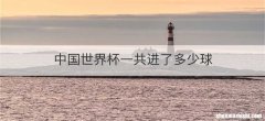 中国世界杯一共进了多少球
