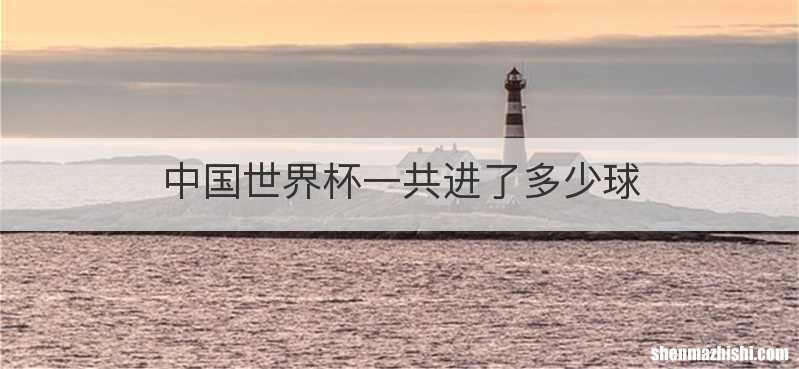 中国世界杯一共进了多少球