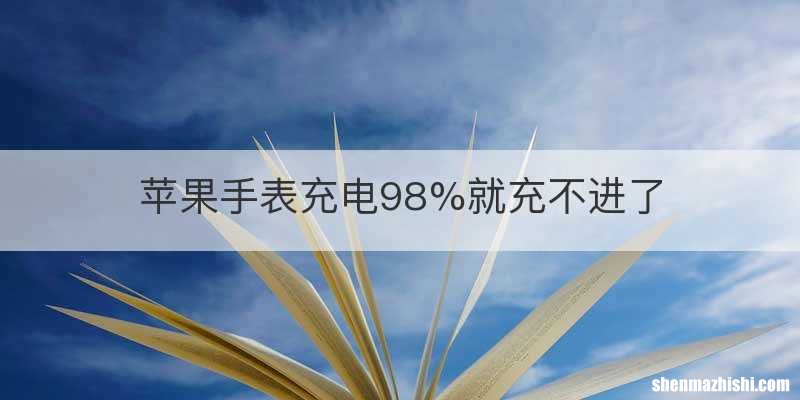 苹果手表充电98%就充不进了