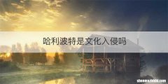哈利波特是文化入侵吗