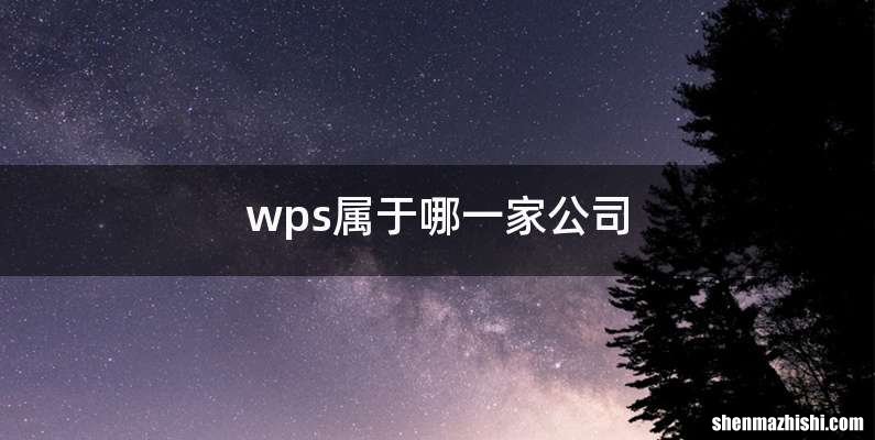 wps属于哪一家公司