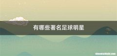 有哪些著名足球明星