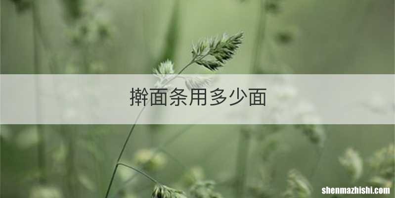 擀面条用多少面