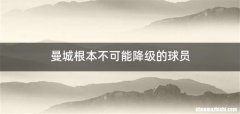 曼城根本不可能降级的球员
