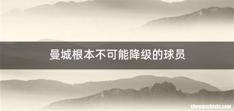 曼城根本不可能降级的球员