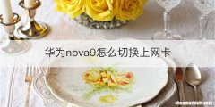 华为nova9怎么切换上网卡