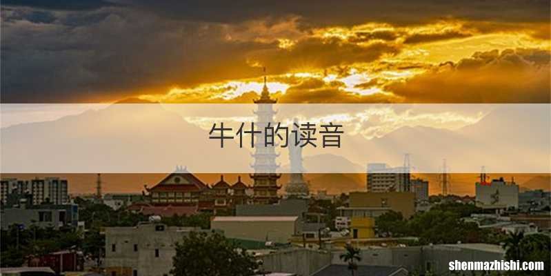 牛什的读音