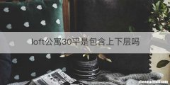 loft公寓30平是包含上下层吗