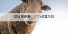 貂蝉新皮肤兰翎仙是真的吗