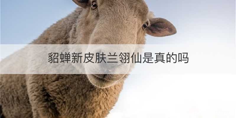 貂蝉新皮肤兰翎仙是真的吗