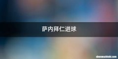 萨内拜仁进球