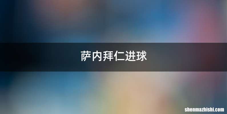 萨内拜仁进球