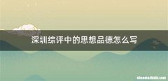 深圳综评中的思想品德怎么写