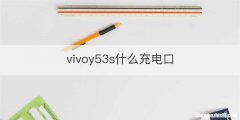 vivoy53s什么充电口