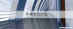 牛角鱼吃什么