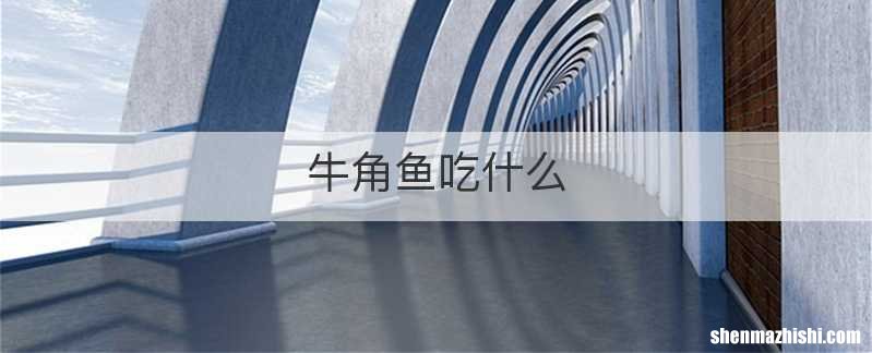 牛角鱼吃什么